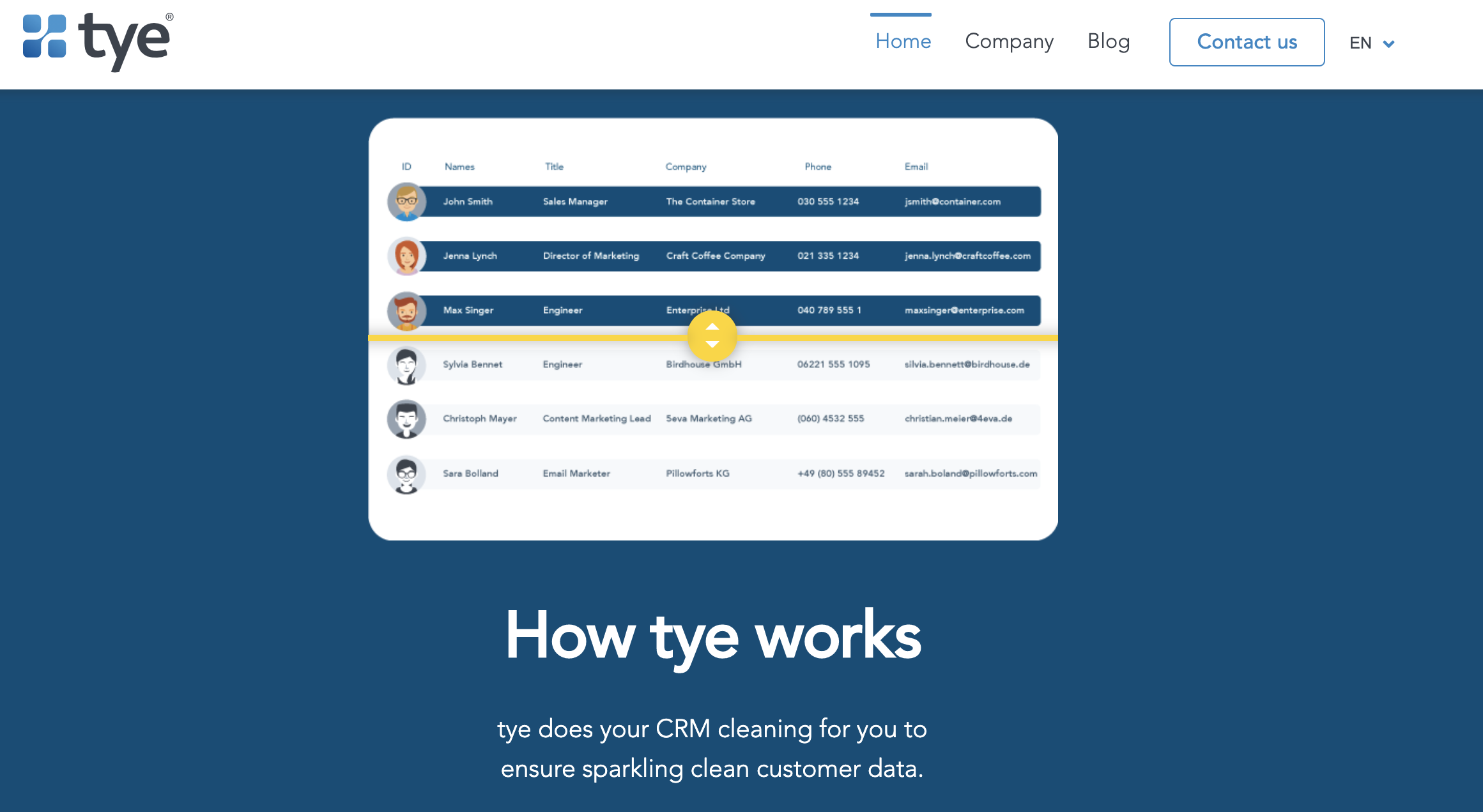 Screenshot showing how tye works, one of the best data cleaning tools